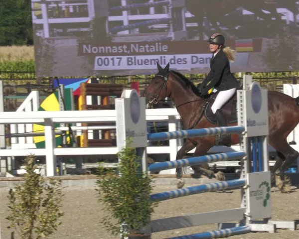 Reitturnier Gundelfingen 2022