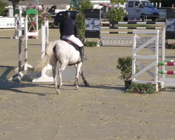 Reitturnier Oberderdingen 2022