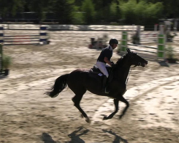 Reitturnier Vellinghausen 2022