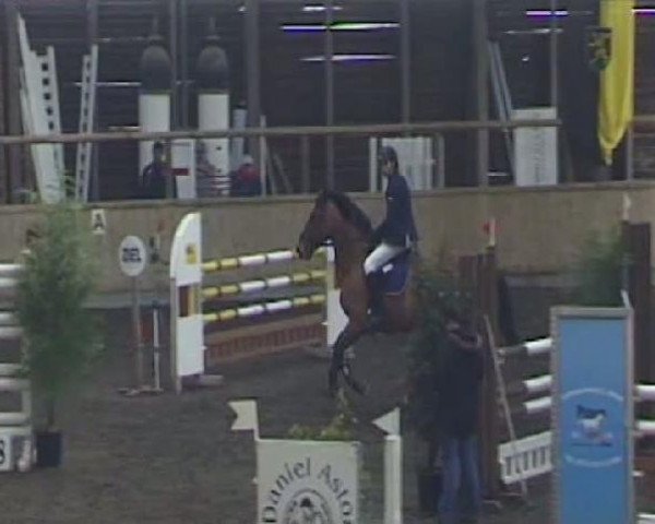 jumper Cassandro 53 (Württemberger, 2004, from Centesimo I)