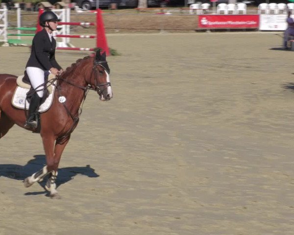 Reitturnier Oberderdingen 2022