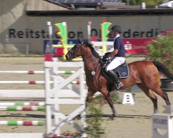 Reitturnier Oberderdingen 2022