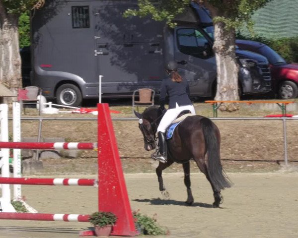 Reitturnier Oberderdingen 2022