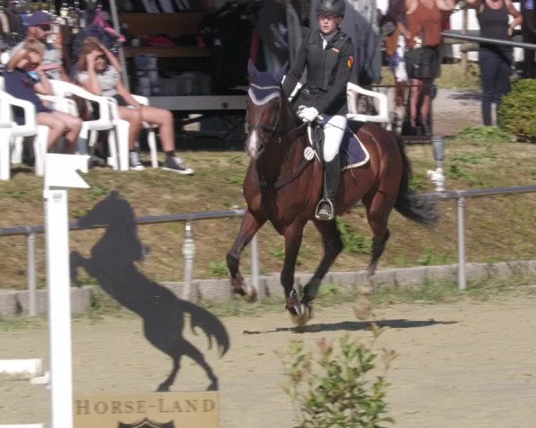 Reitturnier Oberderdingen 2022