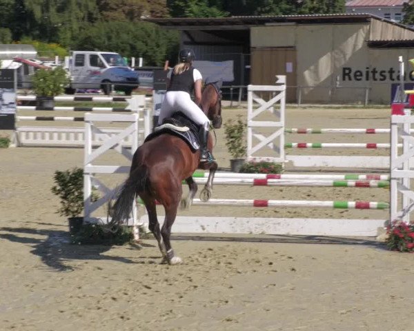 Reitturnier Oberderdingen 2022