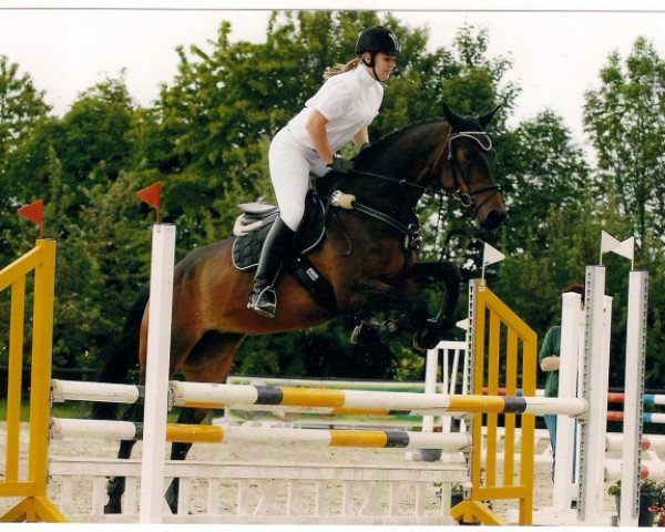 broodmare Firelight Girl (Hessian Warmblood, 2002, from Flammengold)