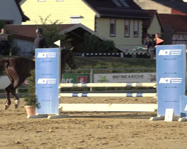 Reitturnier Kreiensen- Rittierode 2022