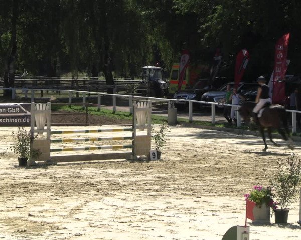Reitturnier Vellinghausen 2022