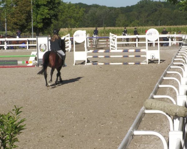 Reitturnier Gundelfingen 2022
