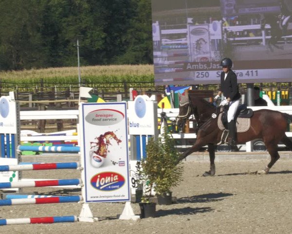Reitturnier Gundelfingen 2022
