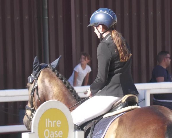 Reitturnier Gundelfingen 2022
