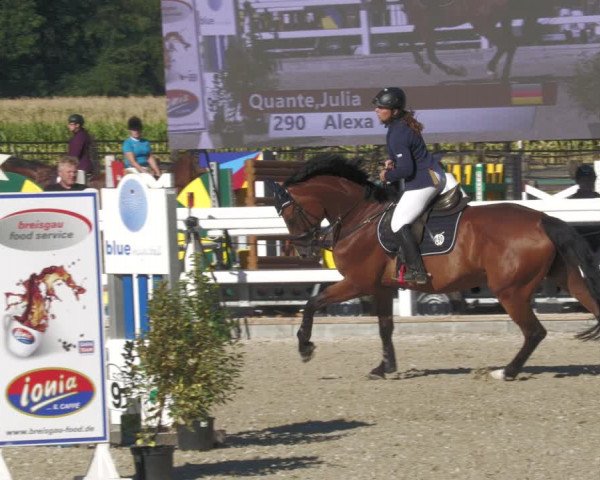 Reitturnier Gundelfingen 2022