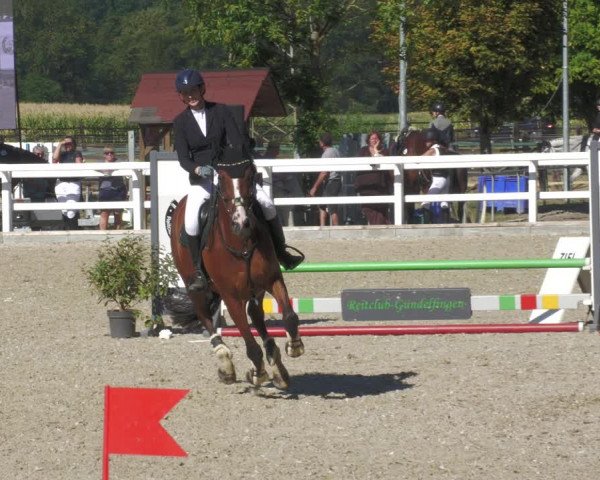 Reitturnier Gundelfingen 2022