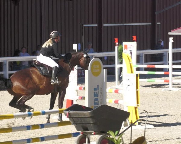 Reitturnier Gundelfingen 2022