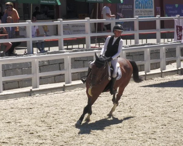 Reitturnier Gundelfingen 2022