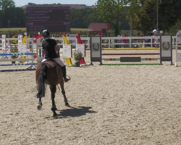 Reitturnier Gundelfingen 2022