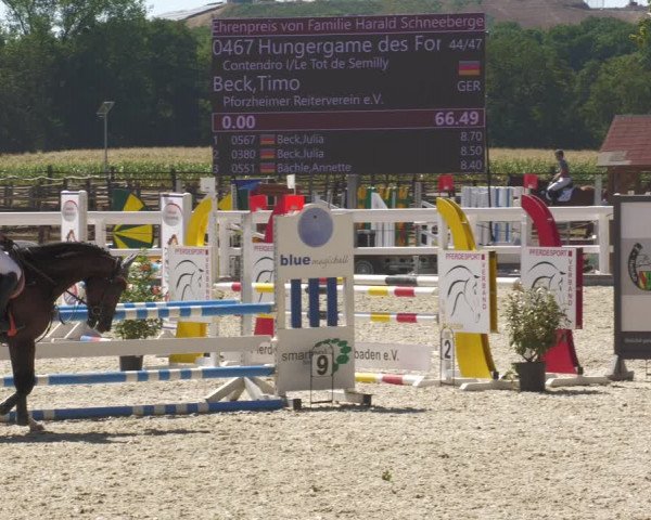 Reitturnier Gundelfingen 2022