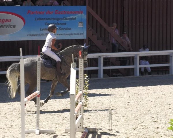Reitturnier Gundelfingen 2022