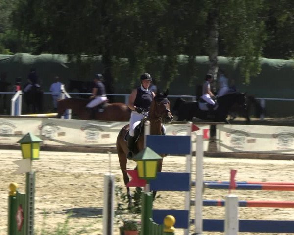 Reitturnier Vellinghausen 2022