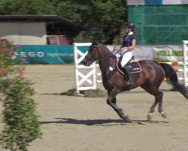 Reitturnier Oberderdingen 2022