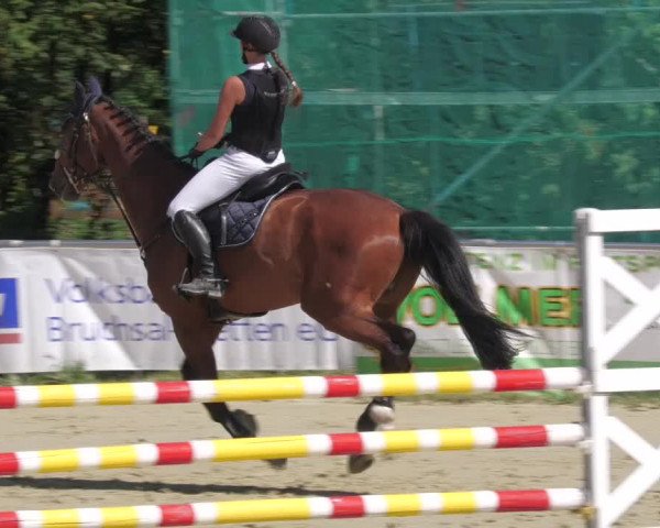Reitturnier Oberderdingen 2022
