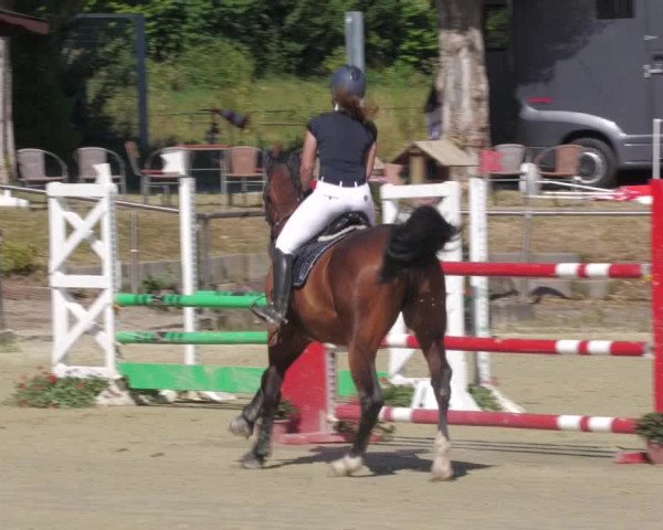 Reitturnier Oberderdingen 2022
