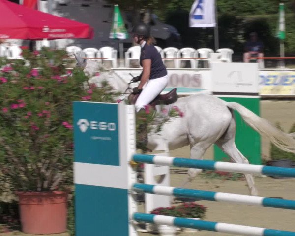 Reitturnier Oberderdingen 2022