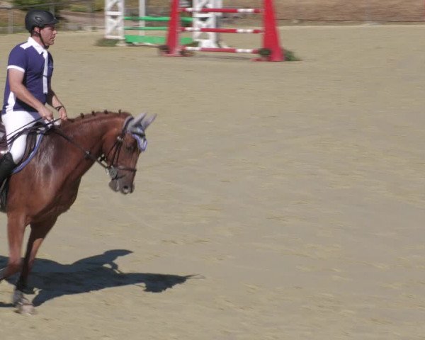 Reitturnier Oberderdingen 2022