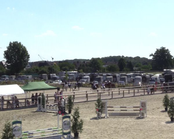 Reitturnier Münster-Amelsbüren 2022