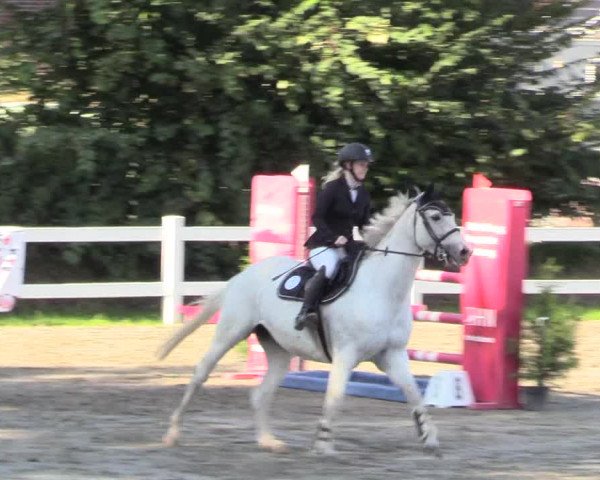 Springturnier Mildstedt 2021