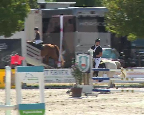 Reitturnier Grafenrheinfeld/Ufr. 2022