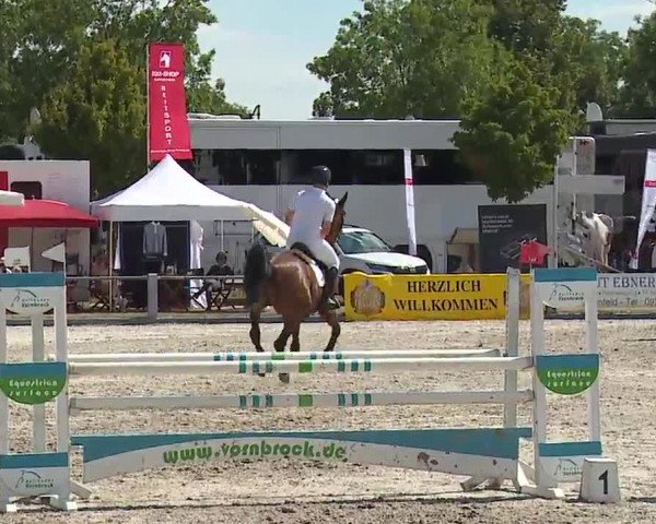 Reitturnier Grafenrheinfeld/Ufr. 2022