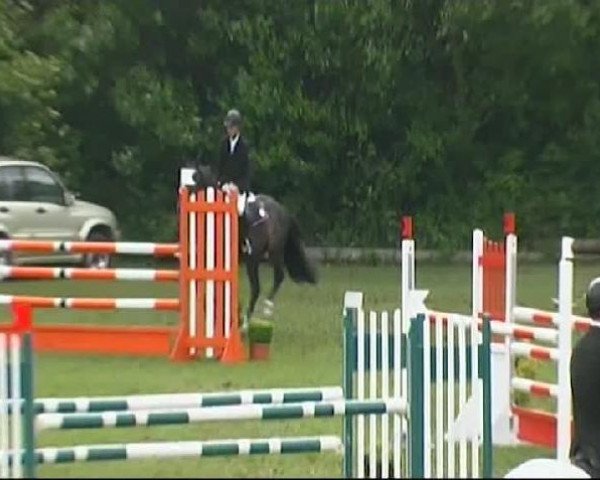 jumper Jo Malone (KWPN (Royal Dutch Sporthorse), 2002, from Oklund)