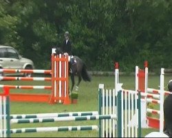 jumper Jo Malone (KWPN (Royal Dutch Sporthorse), 2002, from Oklund)