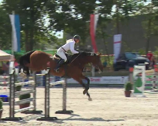 Reitturnier Grafenrheinfeld/Ufr. 2022