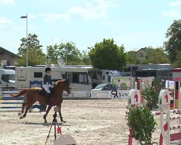 Reitturnier Grafenrheinfeld/Ufr. 2022