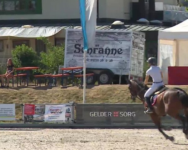 Reitturnier Grafenrheinfeld/Ufr. 2022