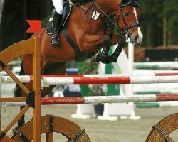 jumper Lessing 23 (Bavarian, 2003, from Ludwig von Bayern 168 FIN)