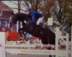 jumper For Enjoy (Oldenburg, 2005, from For Pleasure)