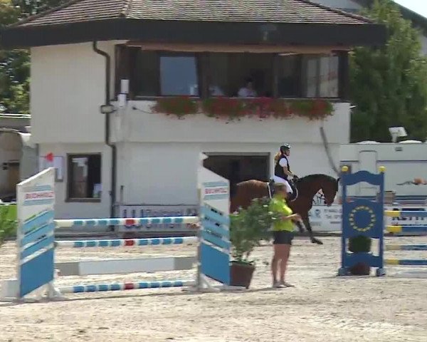 Reitturnier Grafenrheinfeld/Ufr. 2022