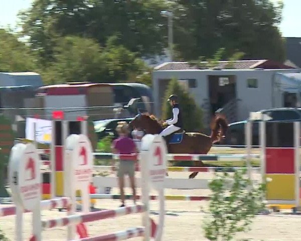 Reitturnier Grafenrheinfeld/Ufr. 2022