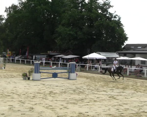 Reitturnier Vellinghausen 2022
