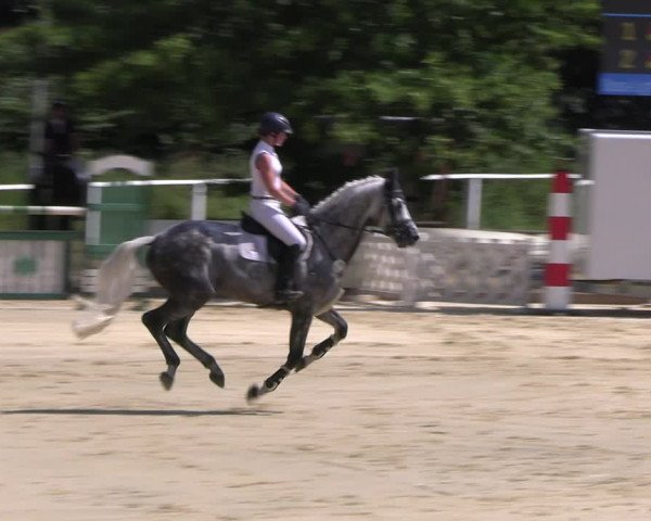 Reitturnier Vellinghausen 2022