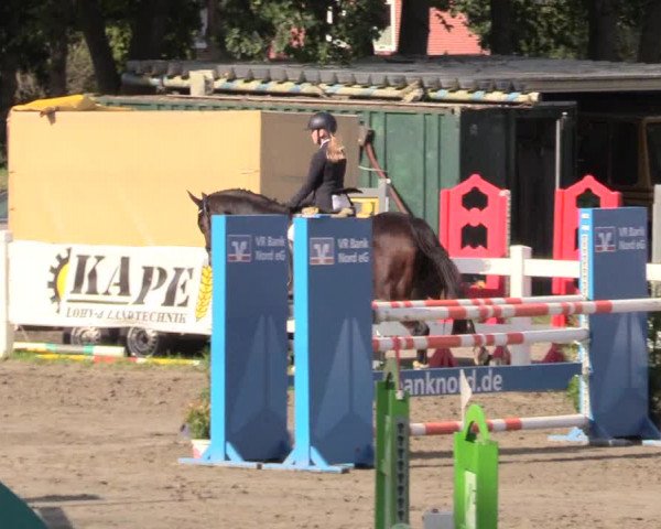 Springturnier Mildstedt 2021