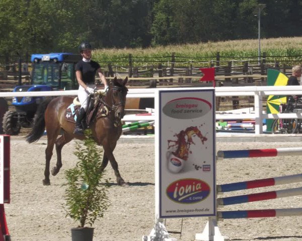 Reitturnier Gundelfingen 2022