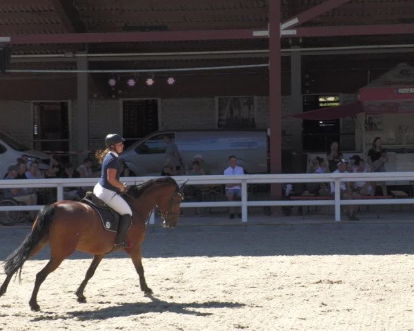 Reitturnier Gundelfingen 2022