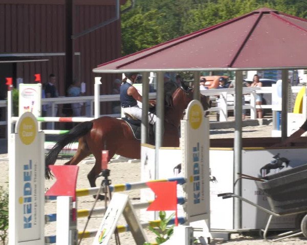 Reitturnier Gundelfingen 2022
