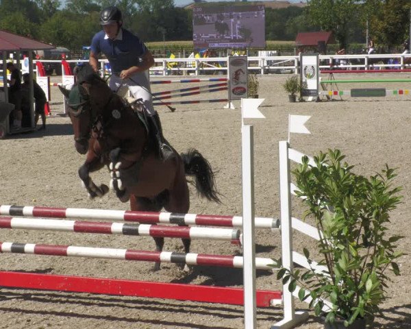 Reitturnier Gundelfingen 2022