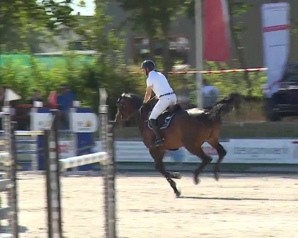 Reitturnier Grafenrheinfeld/Ufr. 2022