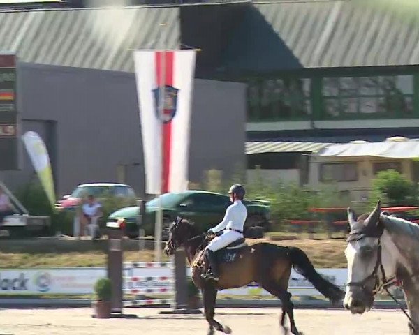 Reitturnier Grafenrheinfeld/Ufr. 2022